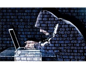 杰克网络技术门户 引领中国互联网技术发展的专业平台